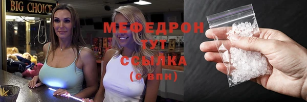 индика Пересвет