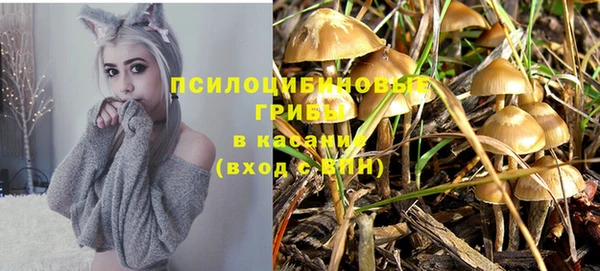 тгк Козловка