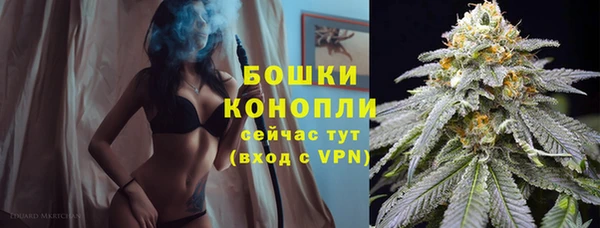 тгк Козловка
