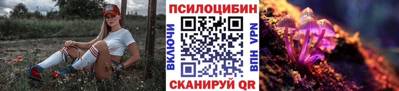 Псилоцибиновые грибы GOLDEN TEACHER  Ессентукская 